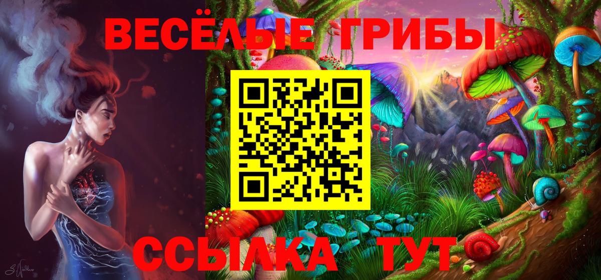 Зерноград  Псилоцибиновые грибы Magic Shrooms  закладка  Вход с VPN 