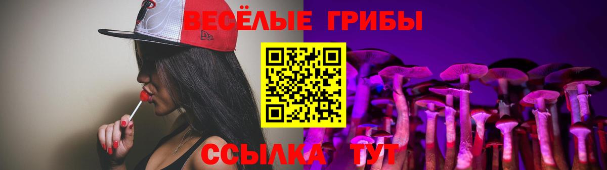 Галлюциногенные грибы GOLDEN TEACHER Зерноград